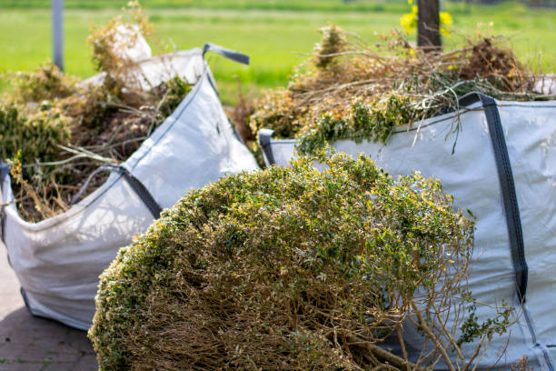 Best Household Junk Removal  in Trenton, GA